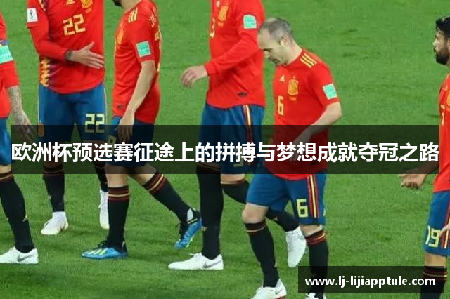 欧洲杯预选赛征途上的拼搏与梦想成就夺冠之路