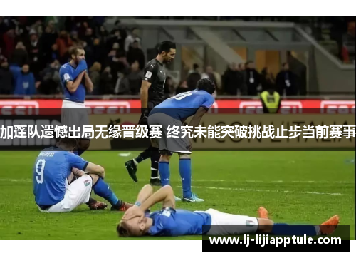 加蓬队遗憾出局无缘晋级赛 终究未能突破挑战止步当前赛事