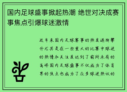 国内足球盛事掀起热潮 绝世对决成赛事焦点引爆球迷激情
